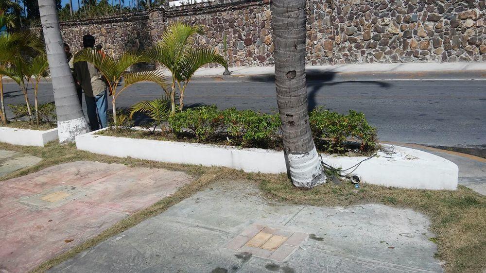 Green Coast Hotel Punta Cana Bagian luar foto
